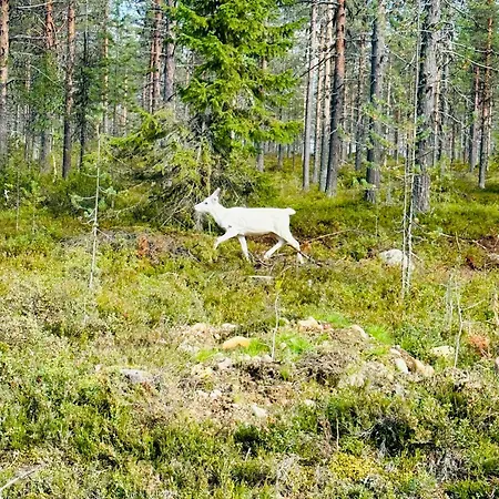Armas 47 Loma-asunnot Äkäslompolo